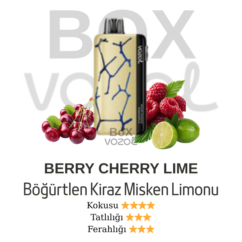 Vozol 45000 Puff - Berry Cherry Lime - Neon