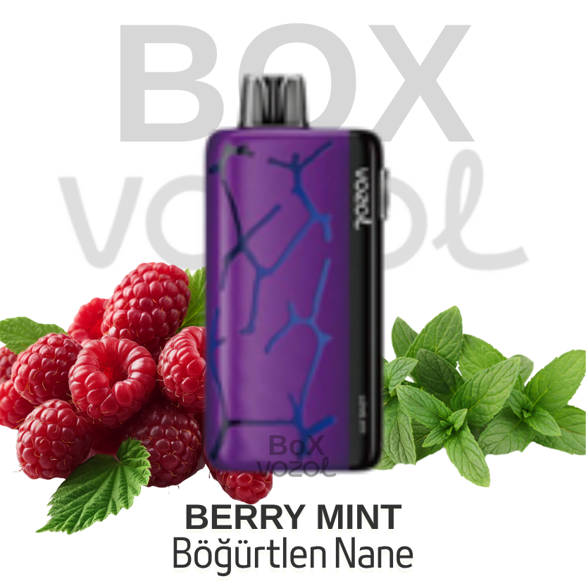 Vozol 45000 Puff - Berry Mint - Neon