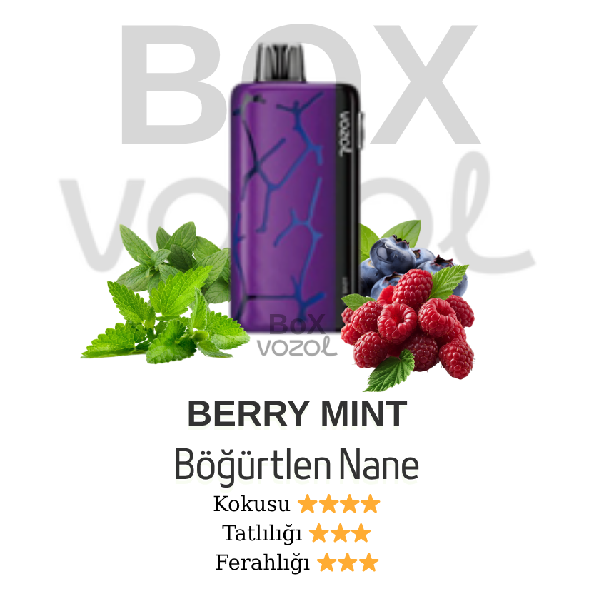 Vozol 45000 Puff - Berry Mint - Neon