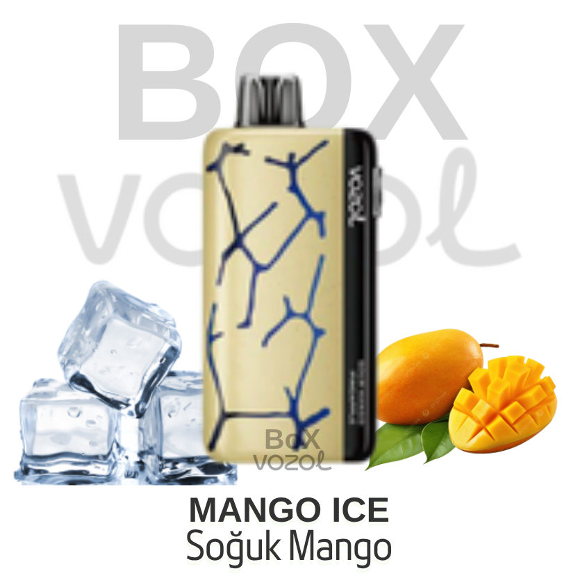 Vozol 45000 Puff - Mango Ice - Neon