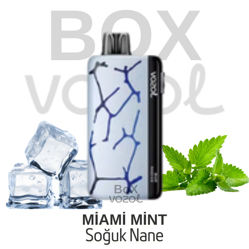 Vozol 45000 Puff - Miami Mint - Neon