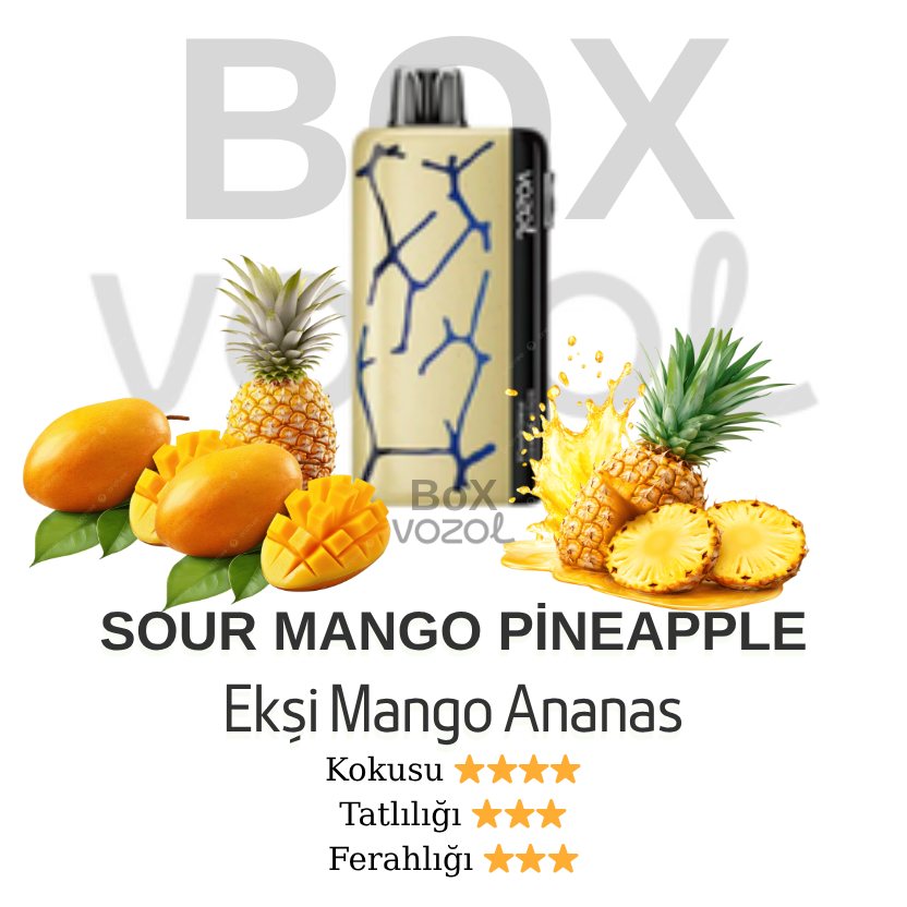Vozol 45000 Puff - Sour Mango Pineapple - Neon