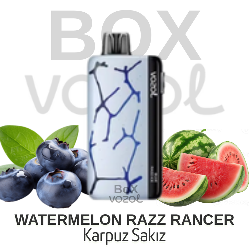 Vozol 45000 Puff - Watermelon Razz Rancher - Neon