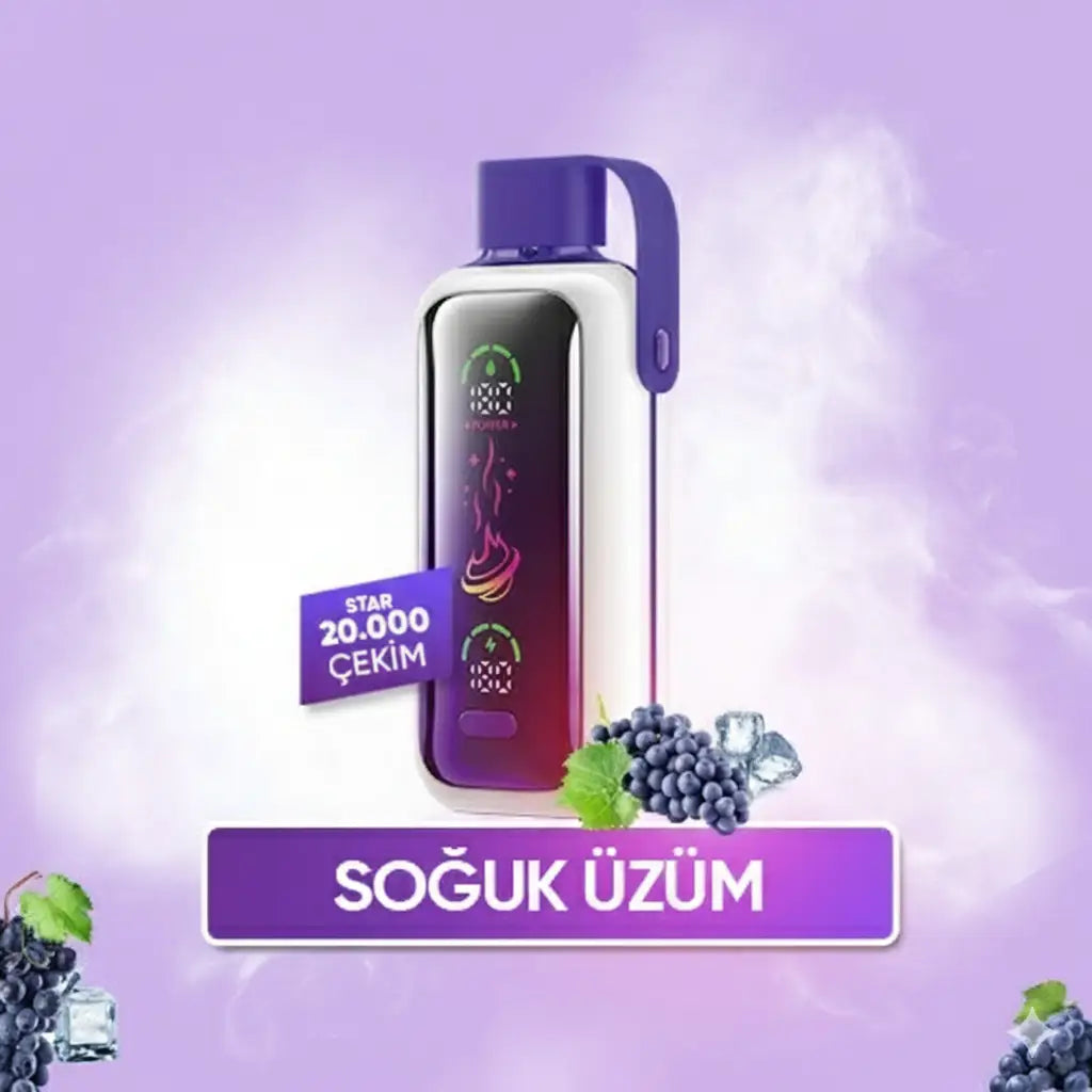 Vozol 20000 Puff -  Grape Ice - Star