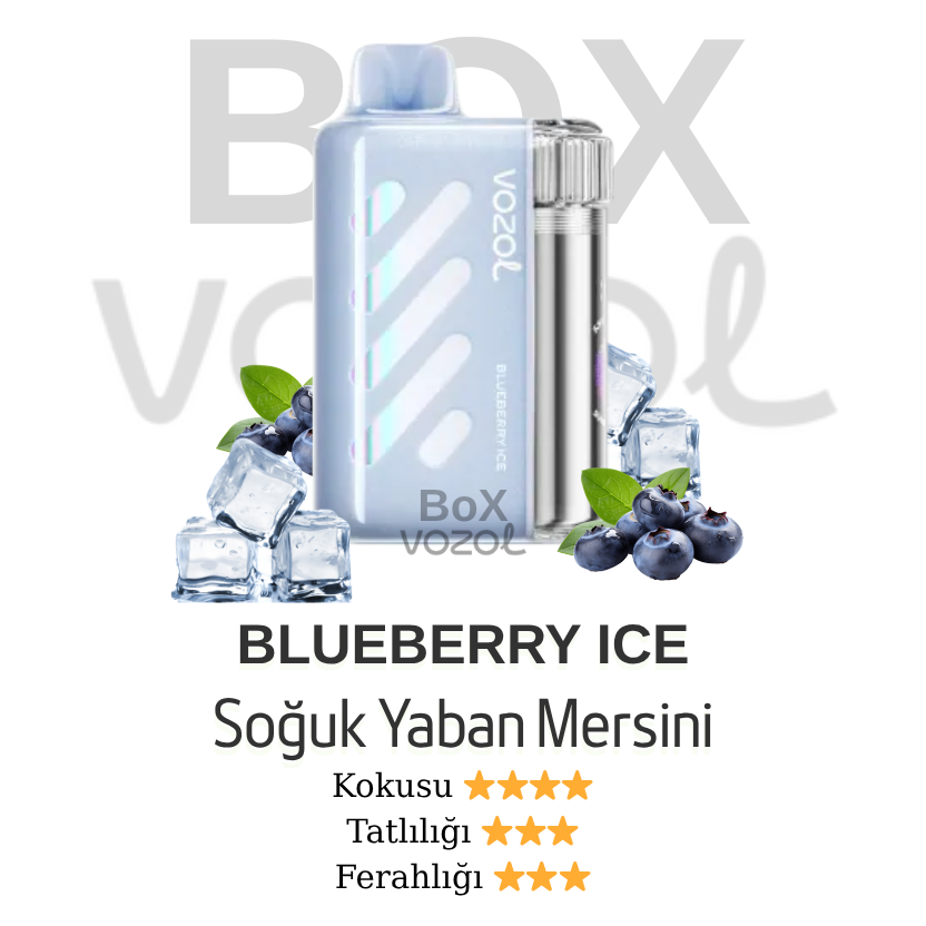 Vozol 40000 Puff - Blueberry Ice - Vista