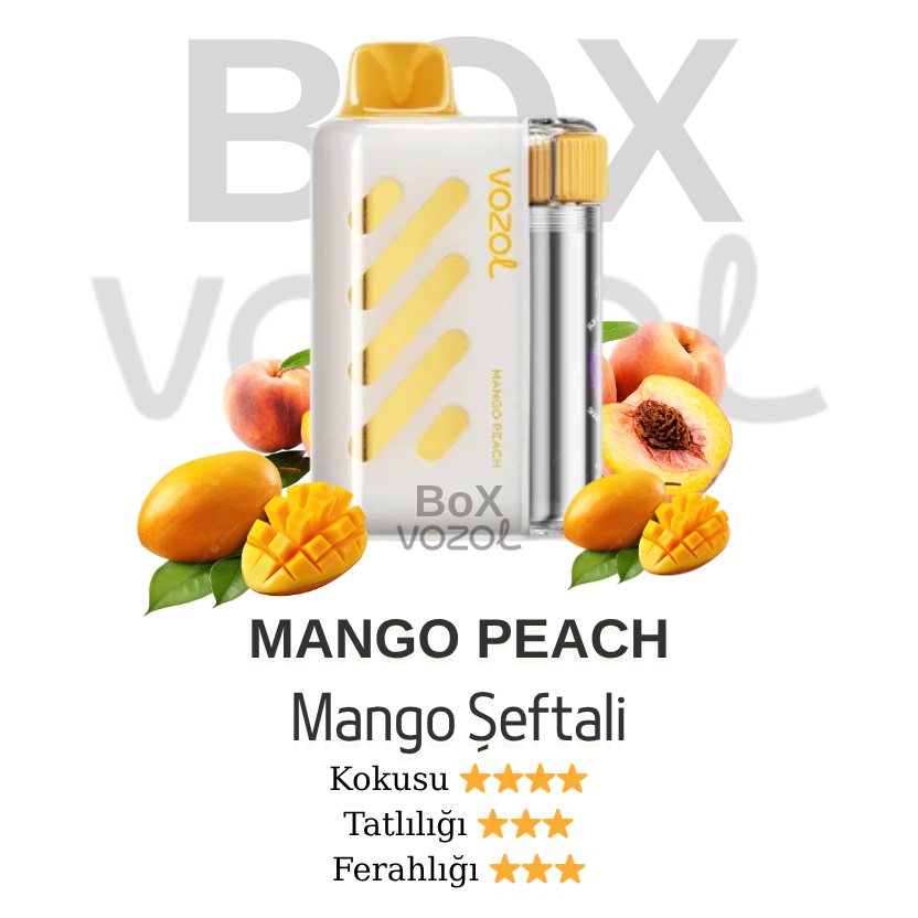 Vozol 40000 Puff - Mango Peach - Vista