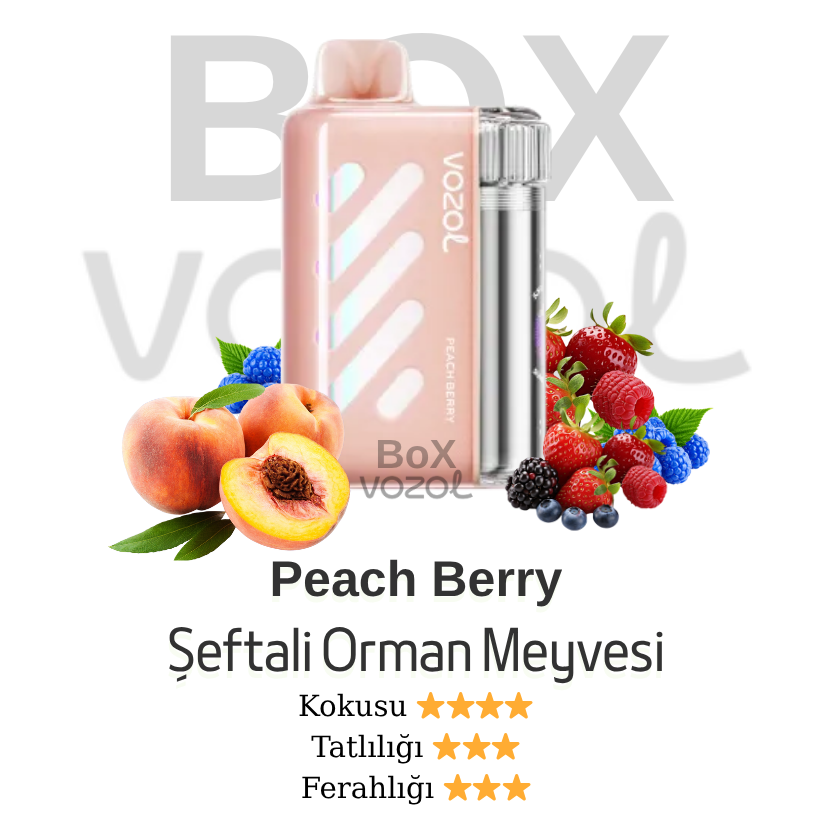 Vozol 40000 Puff - Peach Berry - Vista