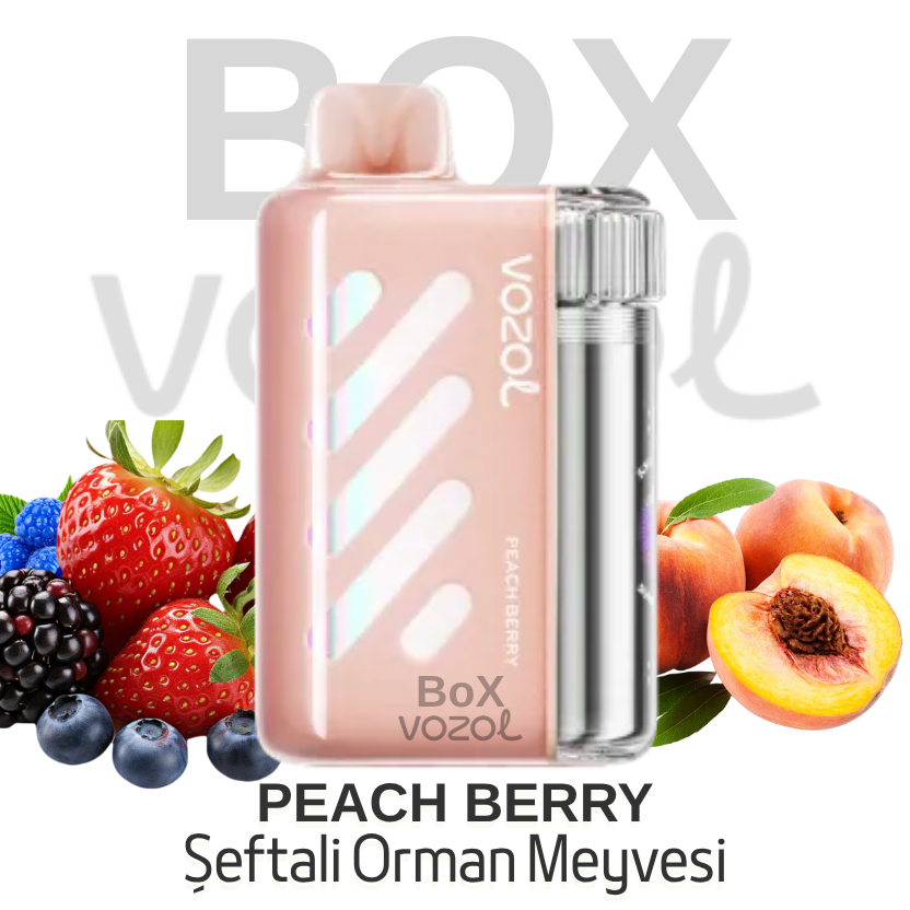 Vozol 40000 Puff - Peach Berry - Vista