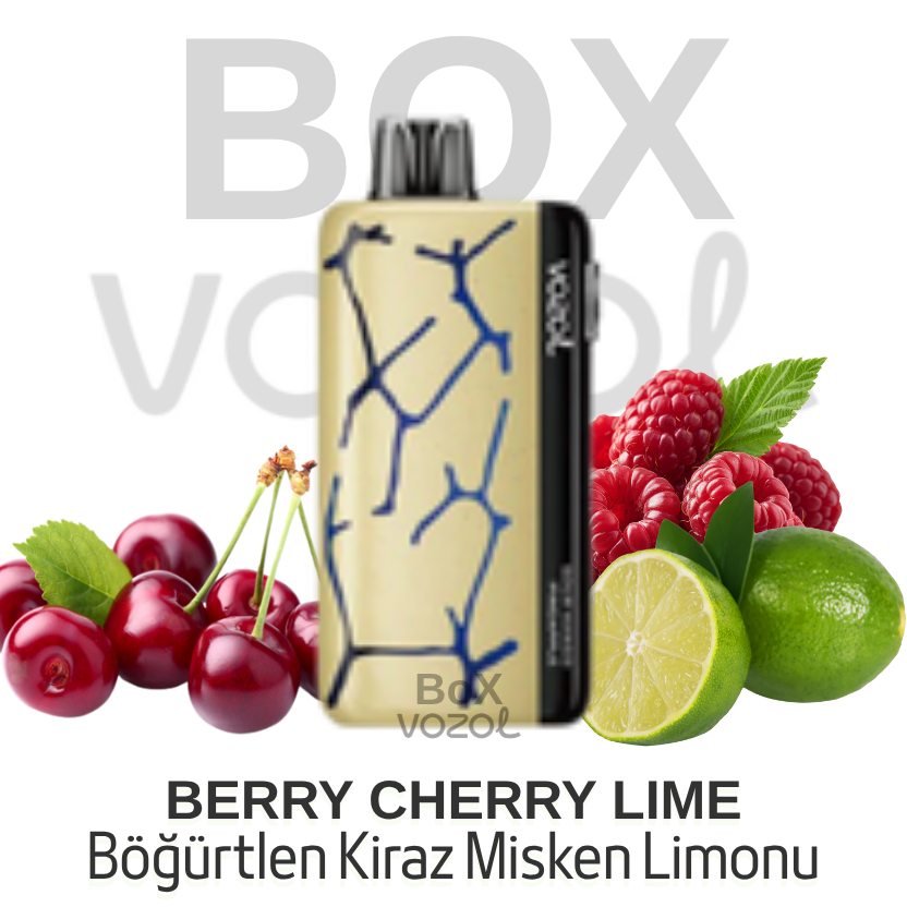 Vozol 45000 Puff - Berry Cherry Lime - Neon