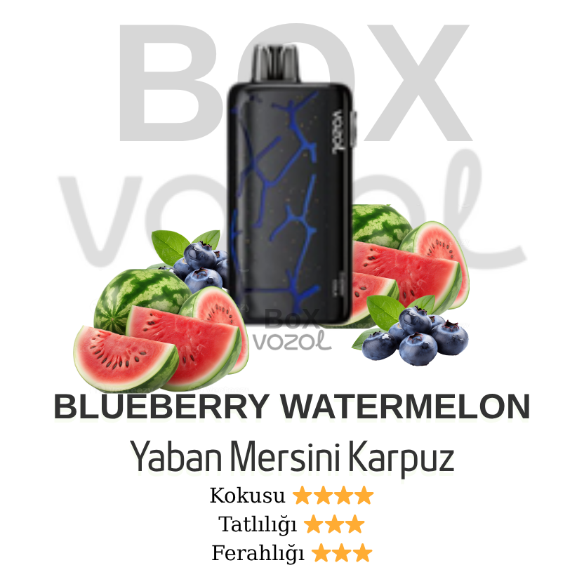 Vozol 45000 Puff - Blueberry Watermelon - Neon