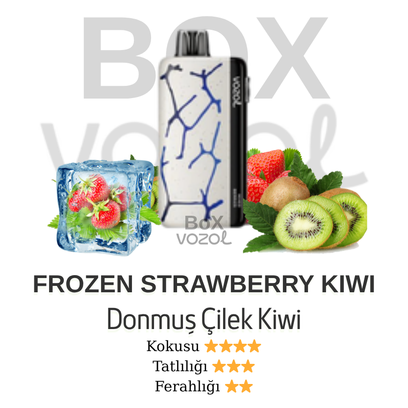 Vozol 45000 Puff - Frozen Strawberry Kiwi - Neon