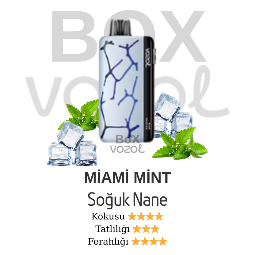 Vozol 45000 Puff - Miami Mint - Neon