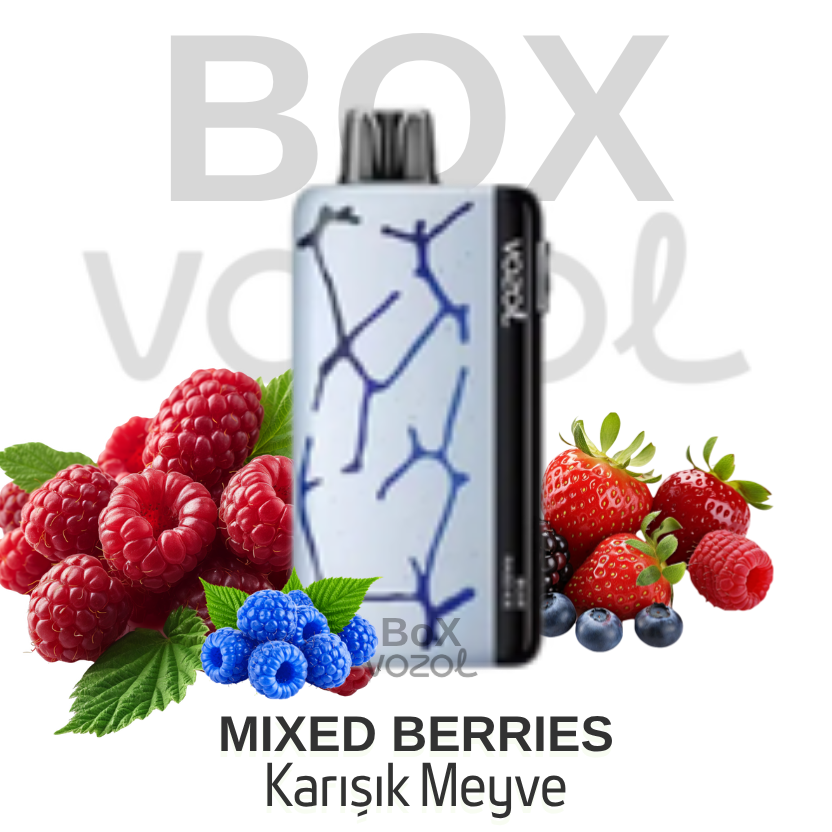 Vozol 45000 Puff - Mixed Berries - Neon