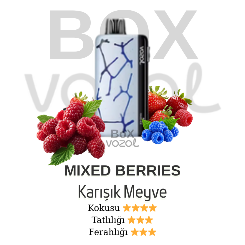 Vozol 45000 Puff - Mixed Berries - Neon