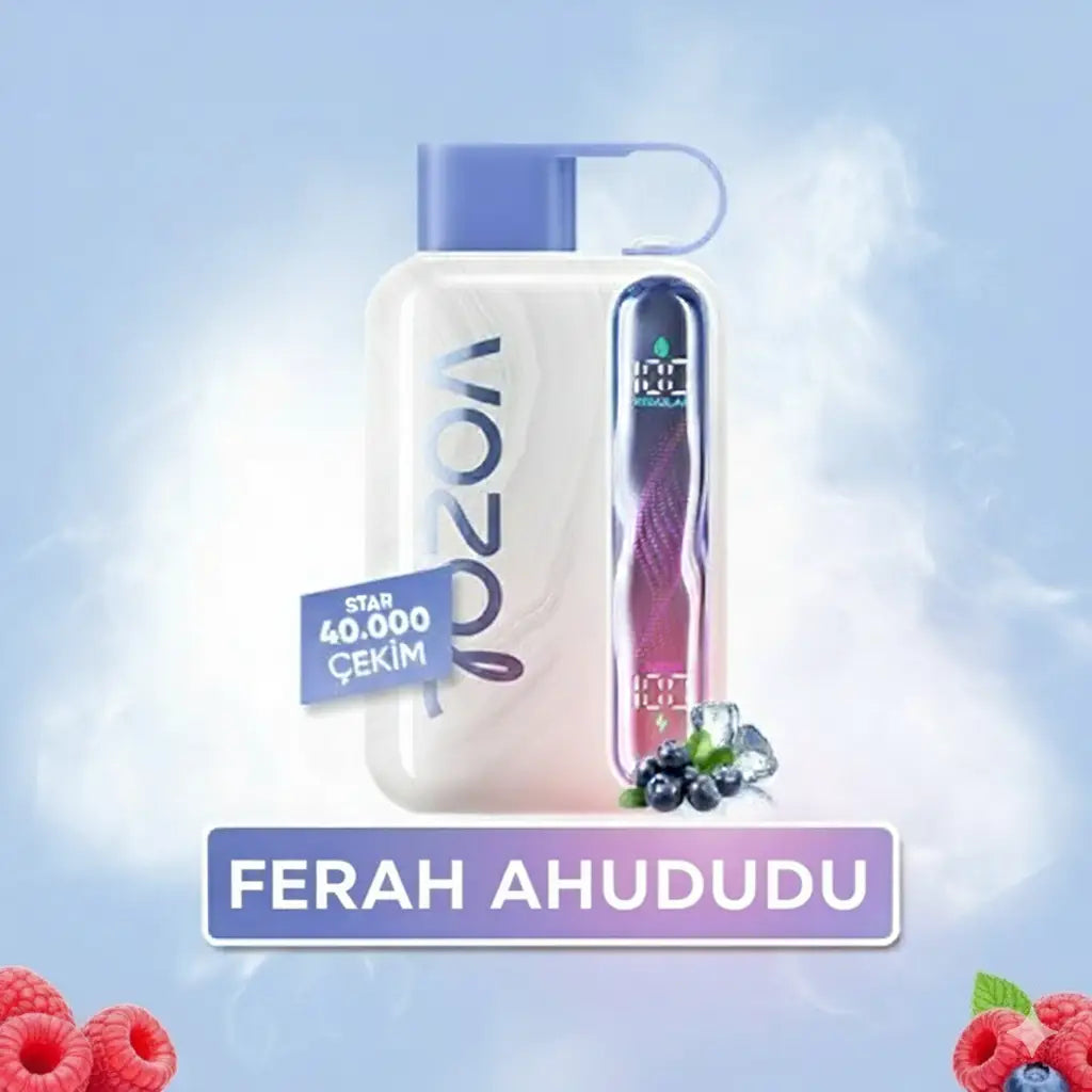 Vozol 40000 Puff -  Blue Razz Ice - Star