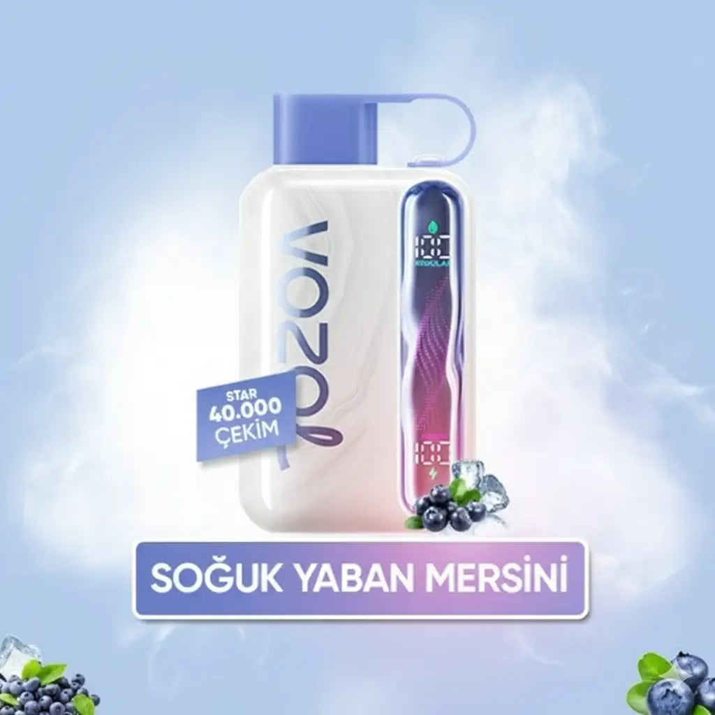 Vozol 40000 Puff -  Blueberry Ice - Star