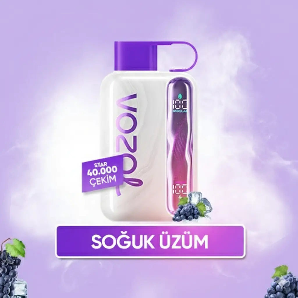Vozol 40000 Puff -  Grape Ice - Star