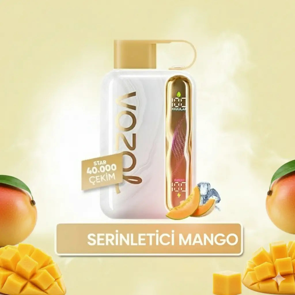 Vozol 40000 Puff -  Mango Ice - Star