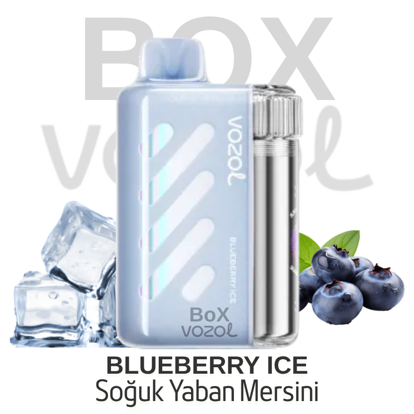 Vozol 40000 Puff - Blueberry Ice - Vista
