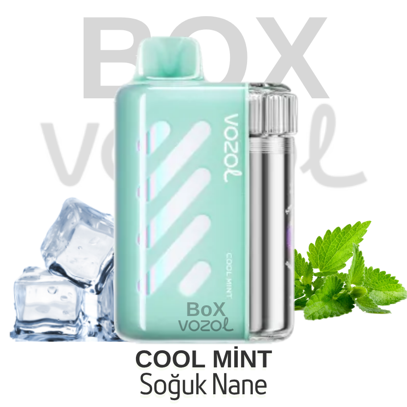 Vozol 40000 Puff - Cool Mint - Vista