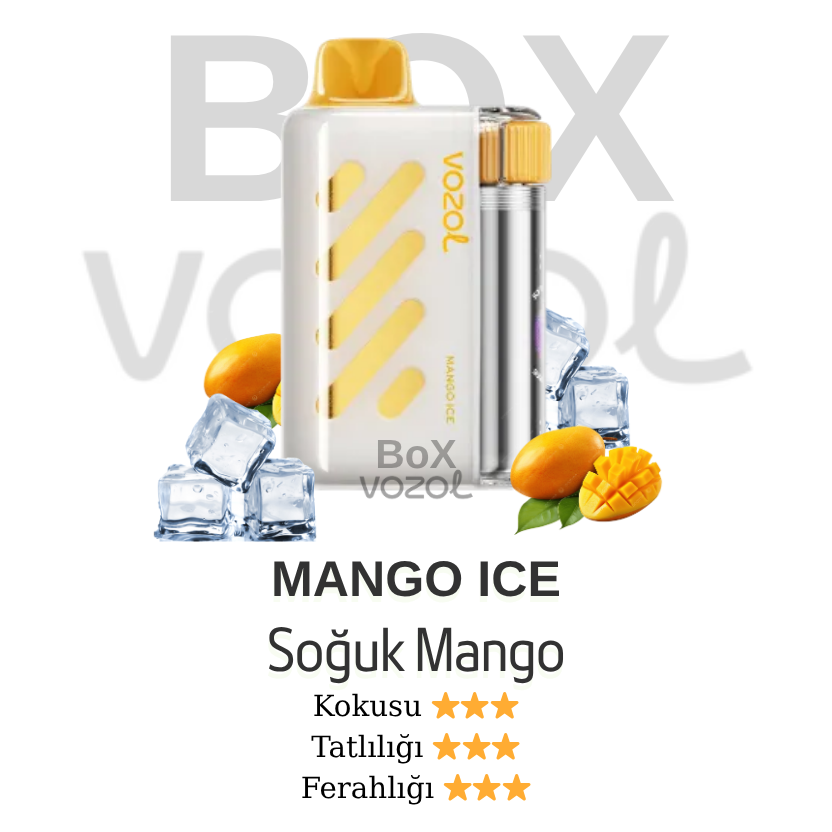 Vozol 40000 Puff - Mango Ice - Vista