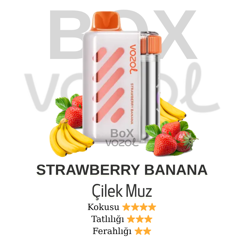 Vozol 40000 Puff - Strawberry Banana - Vista