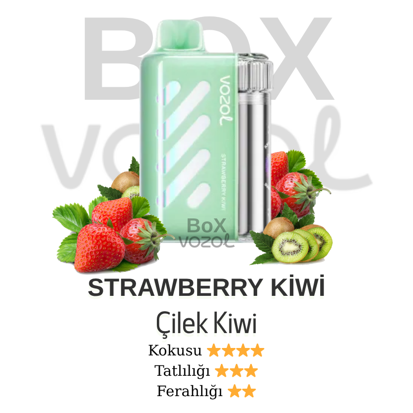 Vozol 40000 Puff - Strawberry Kiwi - Vista